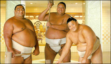 20111026-Sumo Forum calendar-yokozuna.jpg